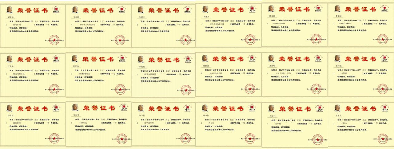 冰心杯获奖证书（2025年3月）